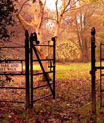 Autumn view of path leading to lake at Middlethorpe Hall Autumn view of path leading to lake at Middlethorpe Hall
