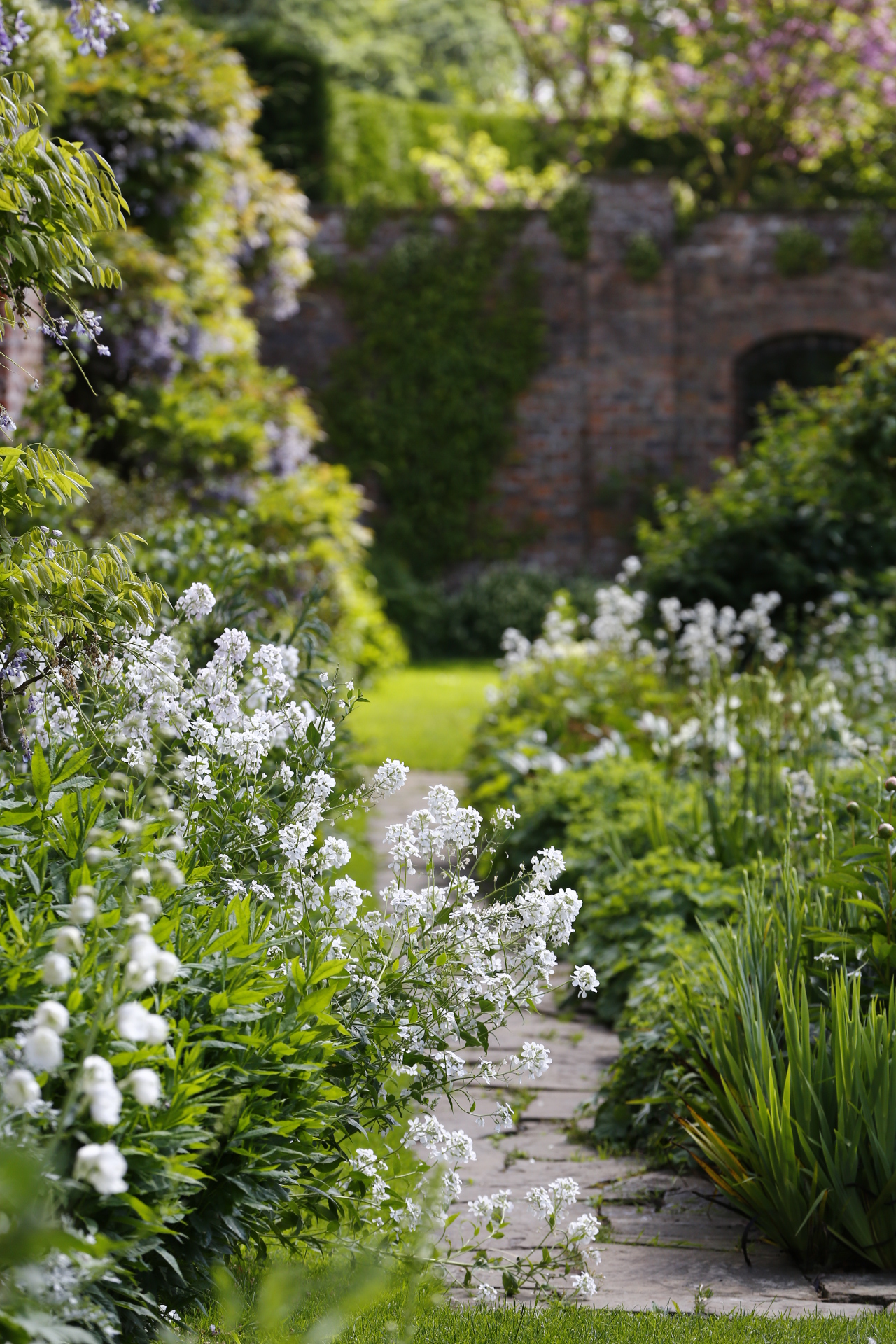 The walled white garden at Middlethorpe Hall