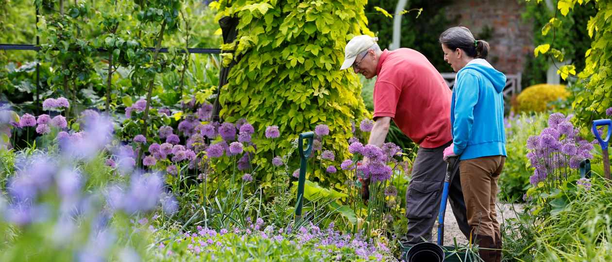 Garden volunteers at Middlethorpe Hall Garden volunteers at Middlethorpe Hall