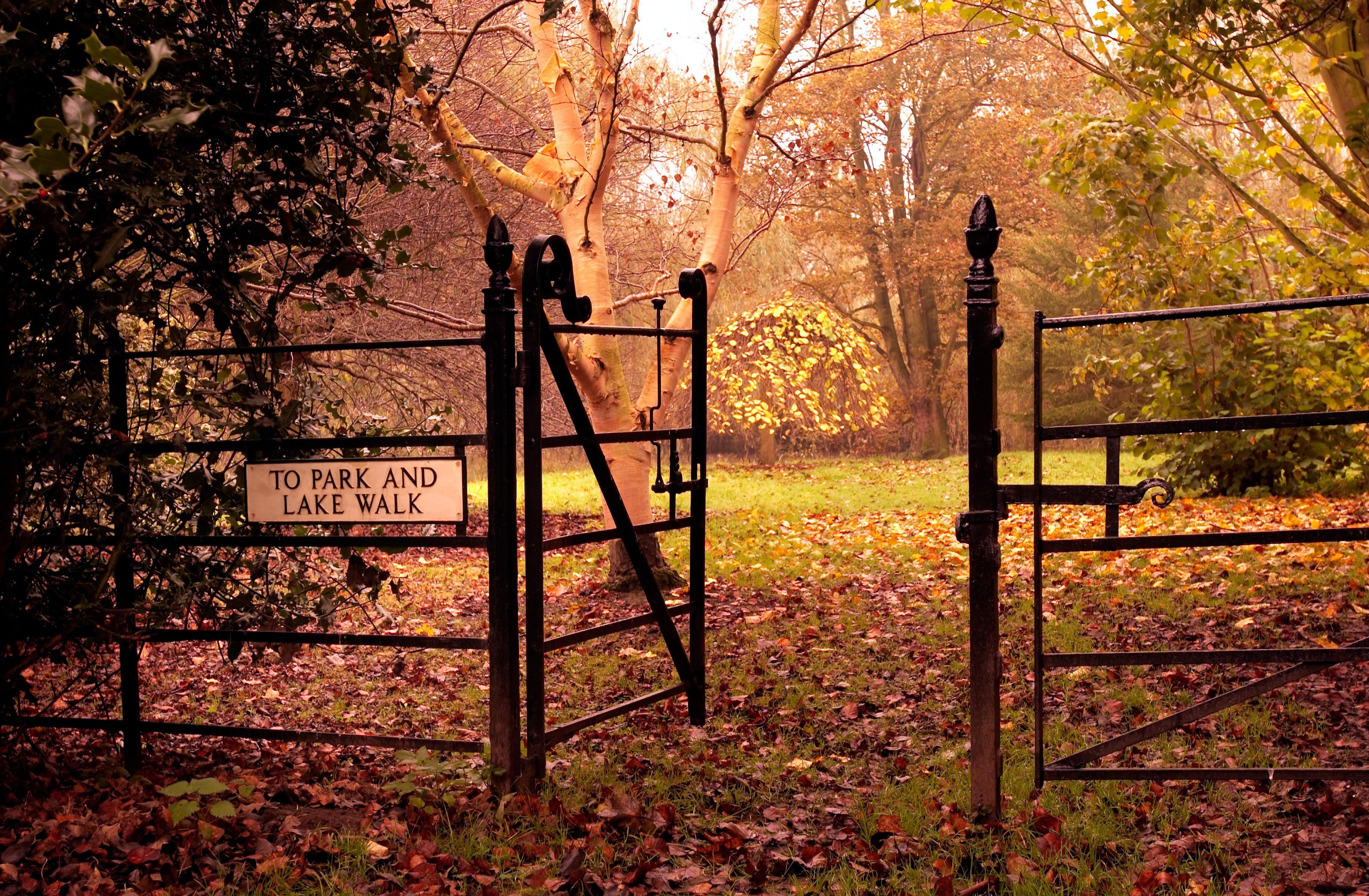 Autumn view of path leading to lake at Middlethorpe Hall