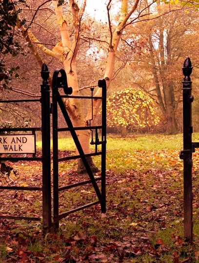 Autumn view of path leading to lake at Middlethorpe Hall Autumn view of path leading to lake at Middlethorpe Hall
