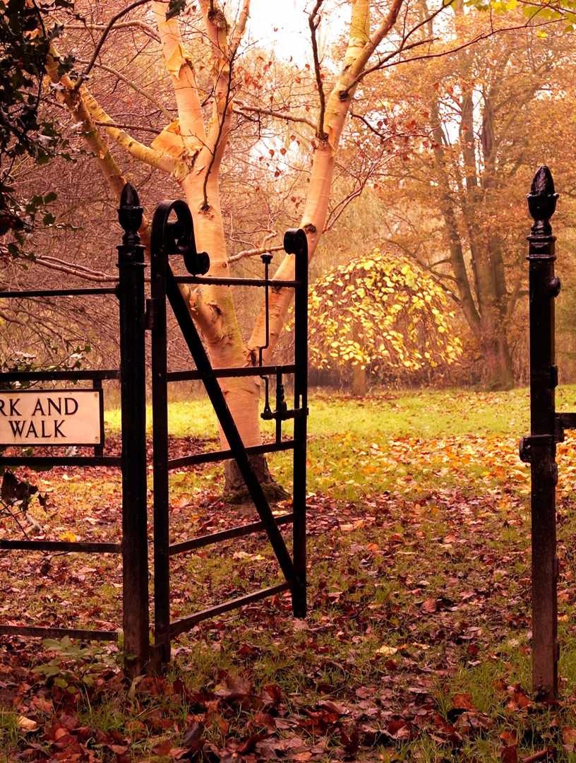 Autumn view of path leading to lake at Middlethorpe Hall Autumn view of path leading to lake at Middlethorpe Hall