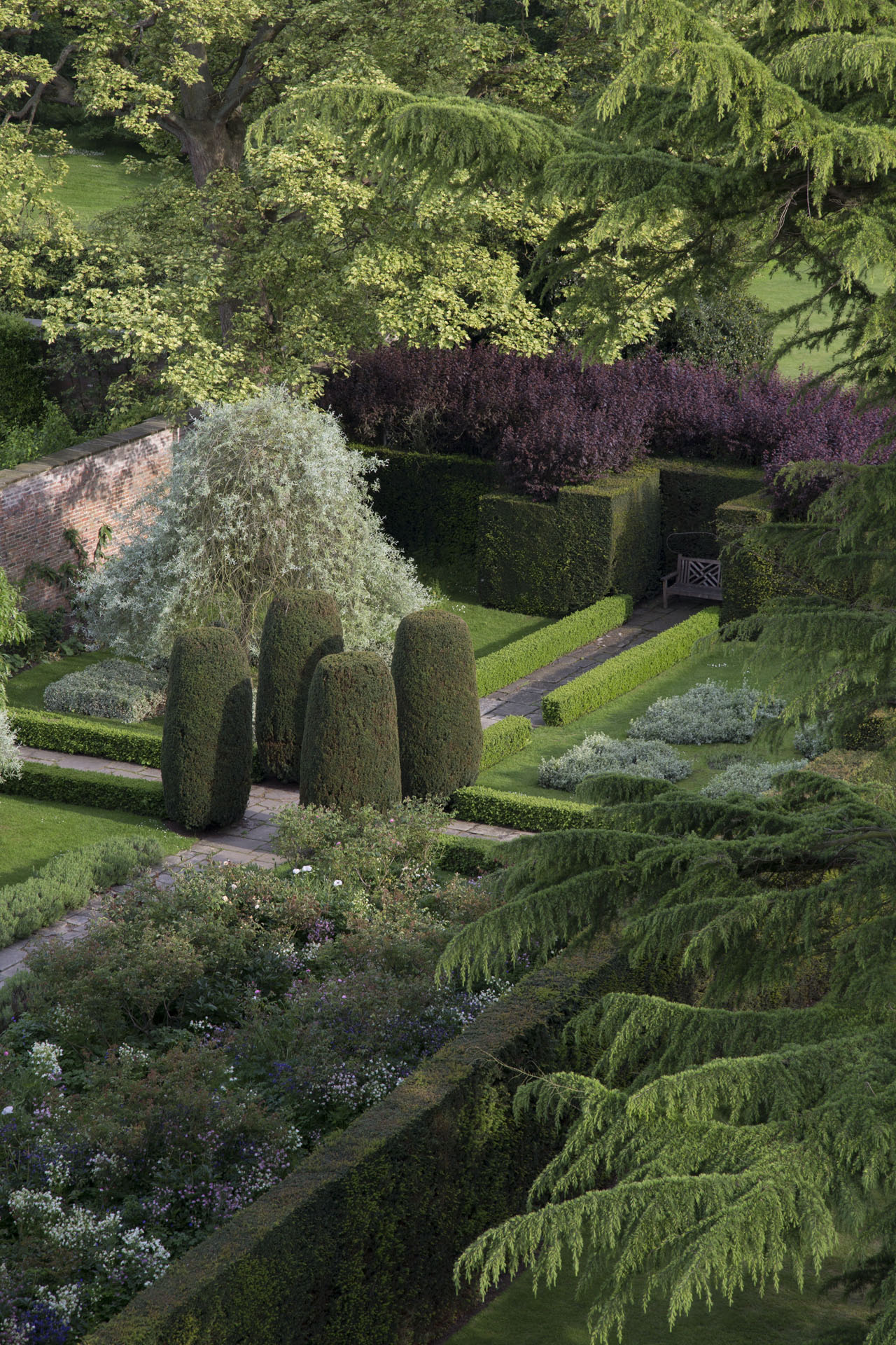 Aerial view of rose gardena at Middlethorpe Hall
