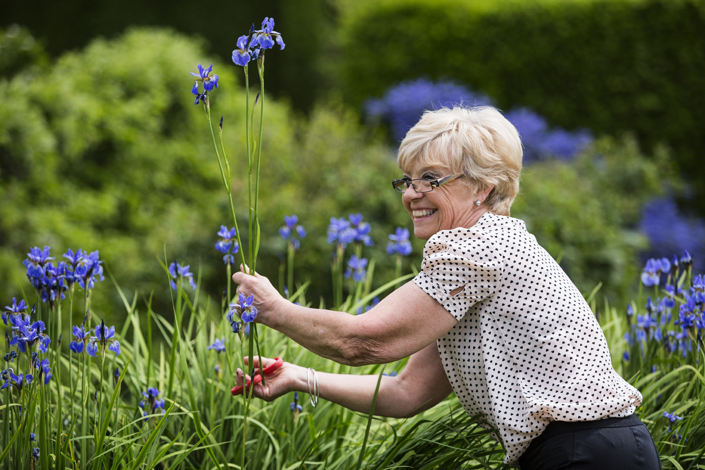 Volunteer Florist at Middlethorpe Hall, Margot Gill